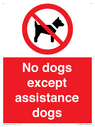 no-dogs-except-assistance-dogs~